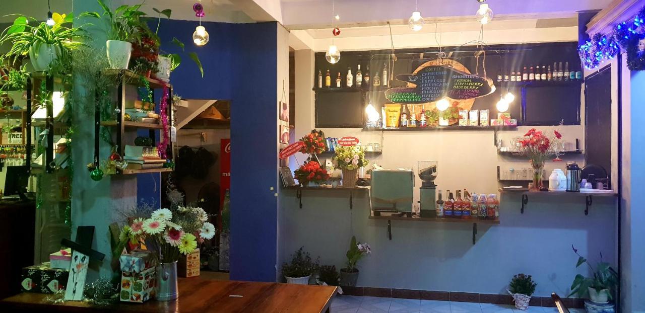 Tiny Tigers Hostel Da Lat Exterior photo